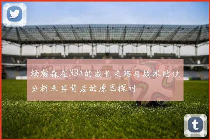 杨瀚森在NBA的成长之路与战术地位分析及其背后的原因探讨