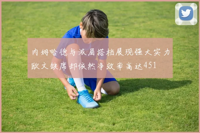 内姆哈德与浓眉搭档展现强大实力欧文缺席却依然净效率高达451