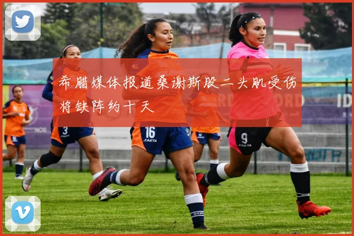 希腊媒体报道桑谢斯股二头肌受伤将缺阵约十天