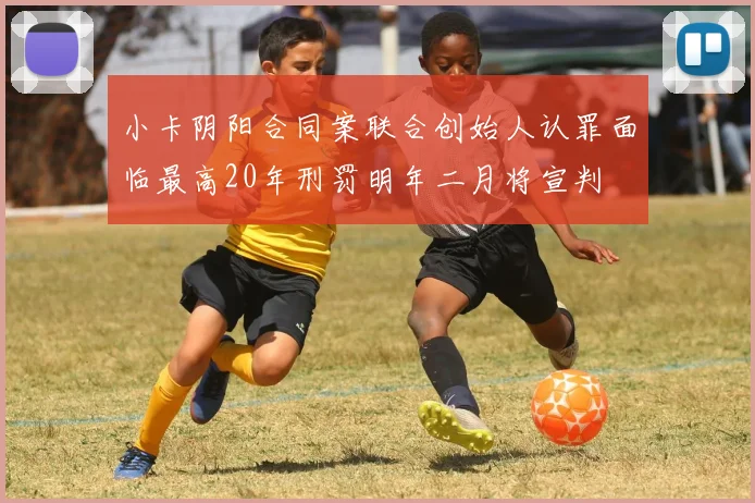 小卡阴阳合同案联合创始人认罪面临最高20年刑罚明年二月将宣判