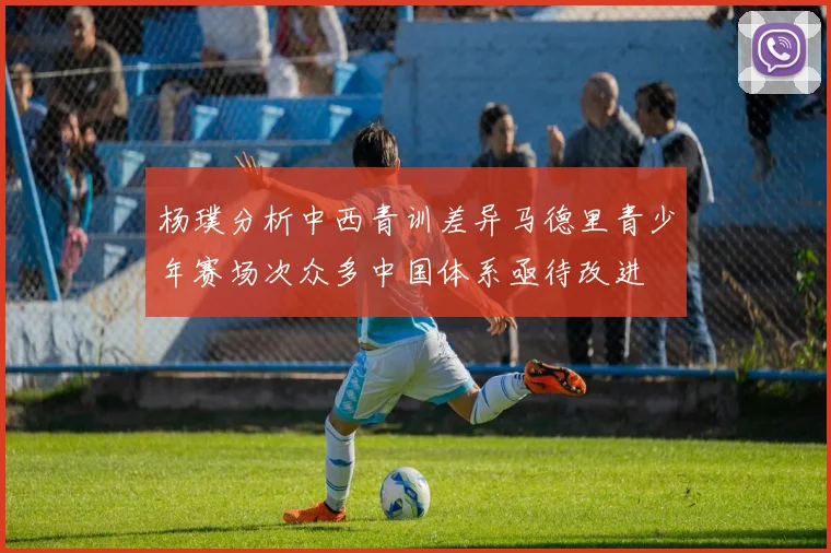 杨璞分析中西青训差异马德里青少年赛场次众多中国体系亟待改进